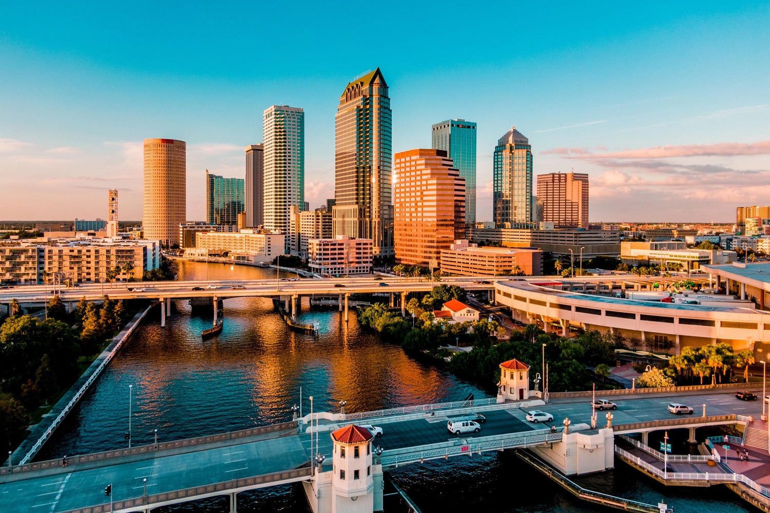 Tampa Cars